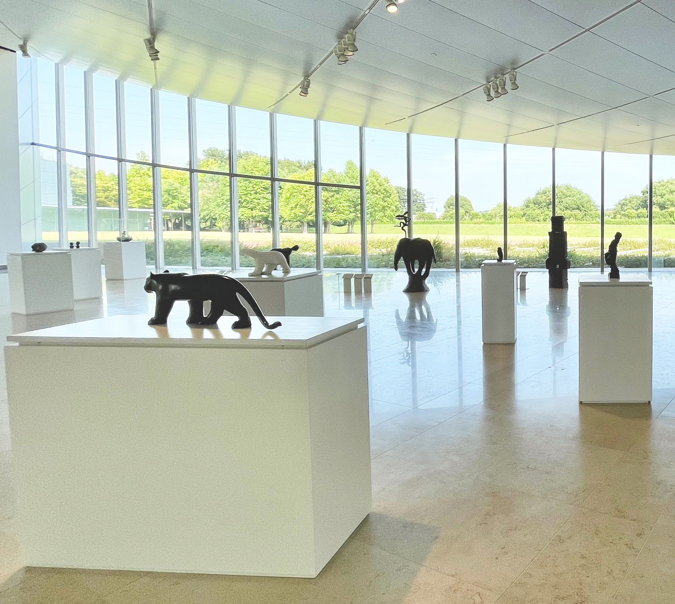 コレクション展示